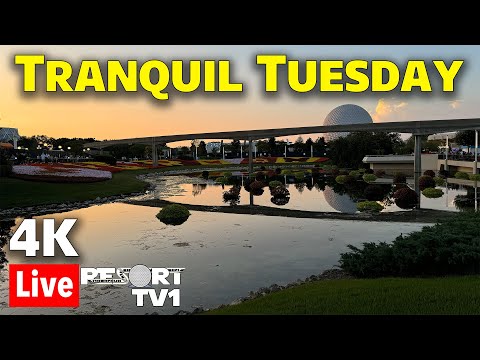 🔴4K Live: Tranquil Tuesday at Epcot in 4K - Walt Disney World Live Stream - 6-25-24
