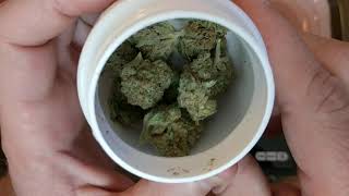 The Cough 22% Trulieve Eustis