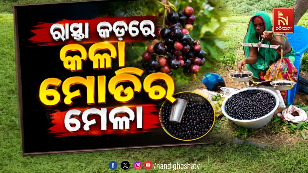 🔴Live |  ରାସ୍ତା କଡ଼ରେ କଳା ମୋତିର ମେଳା
