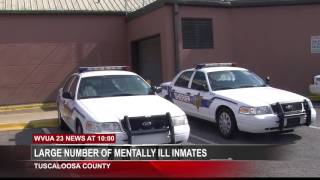 TUSCALOOSA JAIL: 30 PERCENT OF INMATES ARE MENTALLY ILL