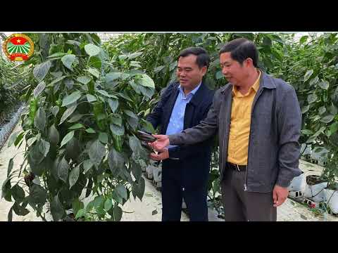 THỰC TRẠNG HOẠT ĐỘNG QUỸ HỖ TRỢ NÔNG DÂN TỈNH NGHỆ AN VÀ NHỮNG VẤN ĐỀ ĐẶT RA TRONG THỜI GIAN TỚI
