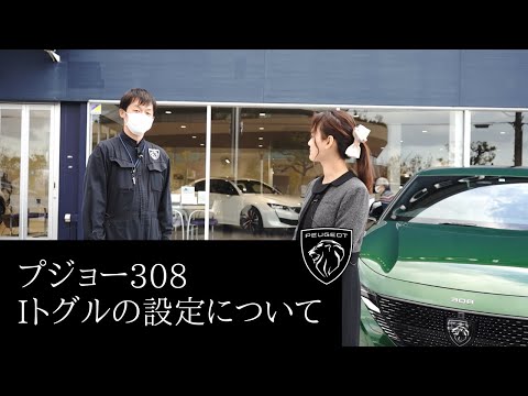 プジョー 305について詳しく解説