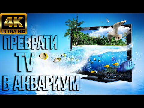 АКВАРИУМ КРАСИВЫЙ ПОДВОДНЫЙ МИР В 4К UHD