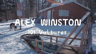 Alex Winston - 101 Vultures | On The Mountain