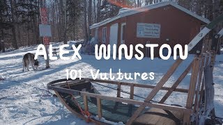 Alex Winston - 101 Vultures (On The Mountain)