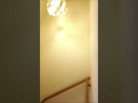Vidéo