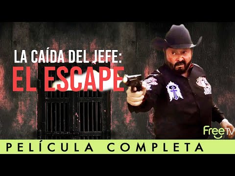 La Caída del Jefe: El Escape | Película Gratis! | FreeTV | Acción y Narcos