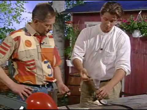 Sommarhajk - Petter (1996)