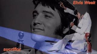 ELVIS PRESLEY - PLEDGING MY LOVE (FOREVER MY DARLING)