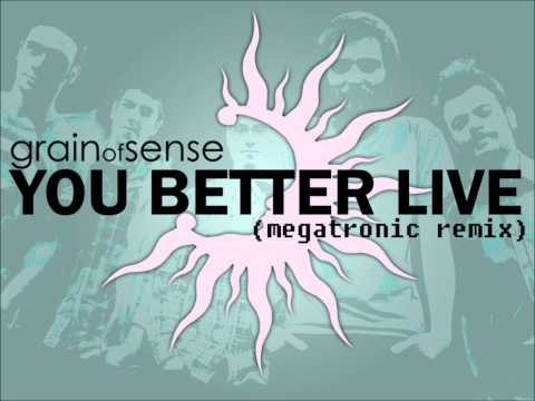 Grain Of Sense - You Better Live (megatronic remix)