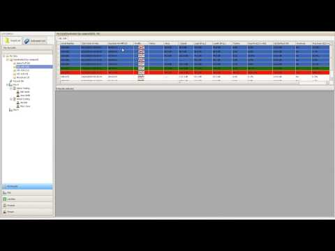 Insight Step 3: Assigning Data