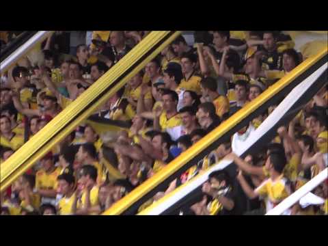 Os Tigres | Dale tigre, dale ô - Criciúma 1 x 0 São Paulo
