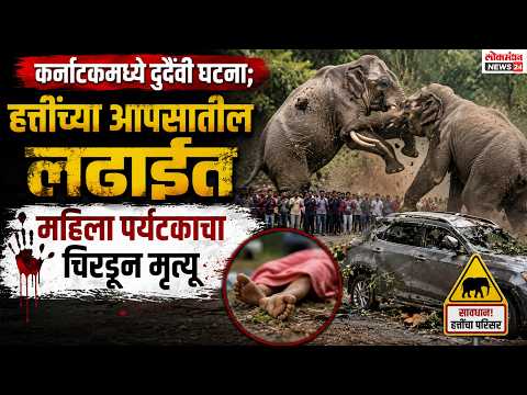 कर्नाटकमध्ये दुर्दैवी घटना; हत्तींच्या आपसातील लढाईत महिला पर्यटकाचा चिरडून मृत्यू
