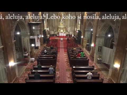 JKS 312b - Raduj sa (Freu dich, du Himmelskönigin)