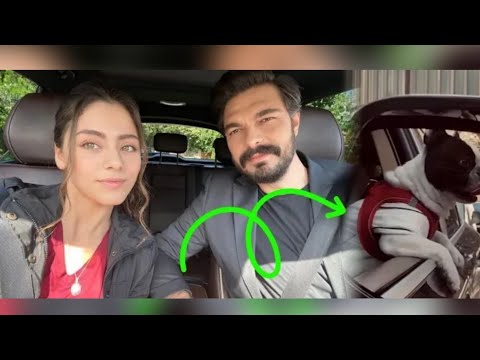 DETALJ "BUFFY" NIJE IZMAKAO PAZNJI  U DOKAZU DA SU HALIL I SILA ZAJEDNO!