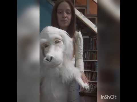 InShot 20200921 022944052