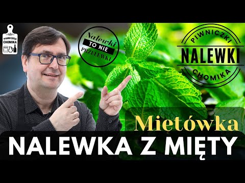 Nalewka z Mięty albo Miętówka. Doskonale orzeźwia i świetnie smakuje do deserów. Prosty przepis