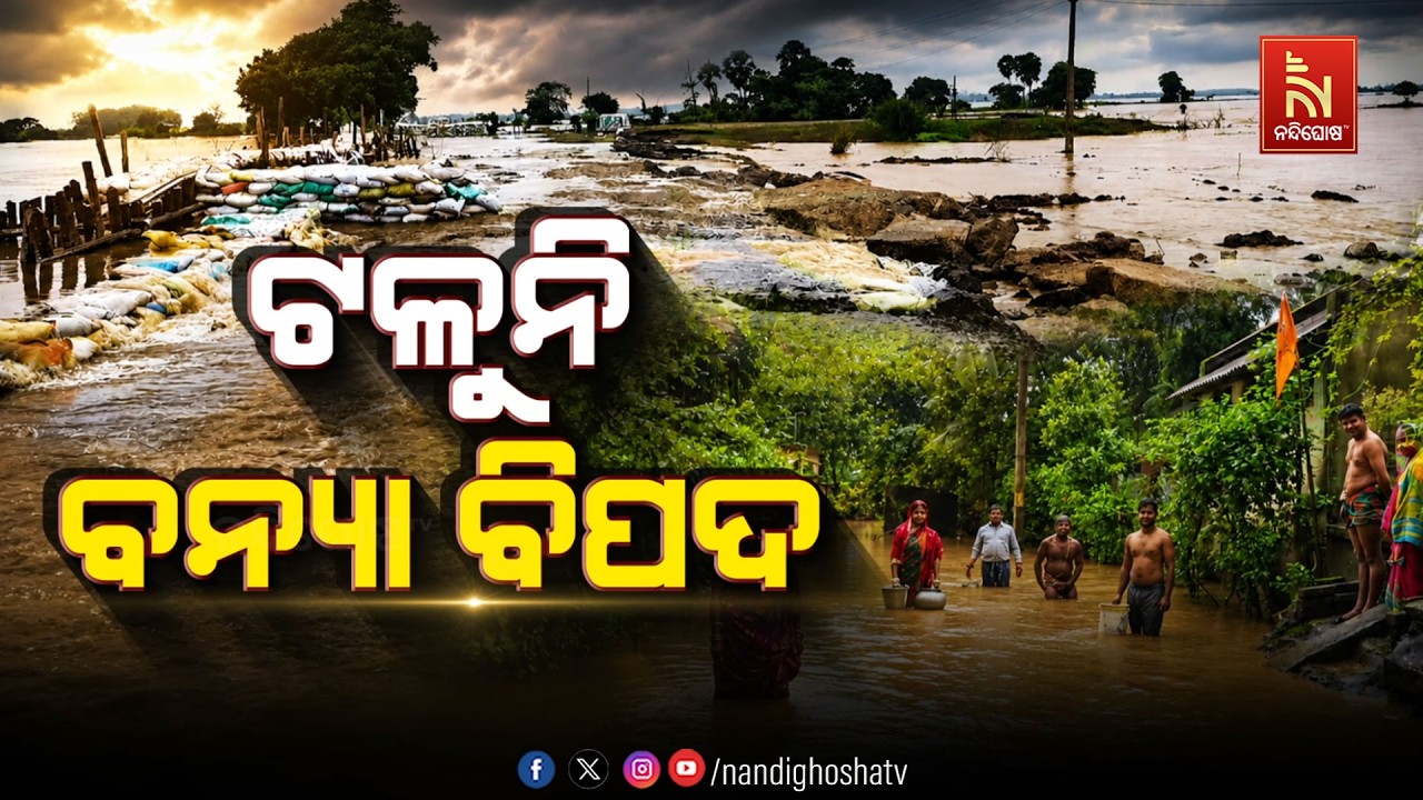 🔴Live | ଟଳୁନି ବନ୍ୟା ବିପଦ