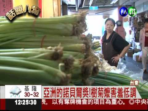 愛心發光! 樹菊嬤獲麥格塞塞獎