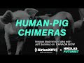 HUMAN PIG CHIMERAS With Nikolas Badminton Futurist