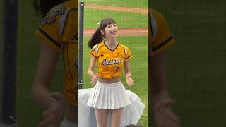 【Passion Sisters】練習生#莎莎#夏蕾#馬鋼應援曲#台湾チアリーディングチーム#中華職棒#CPBL#樂天桃園球場#20241110（12強熱身賽）