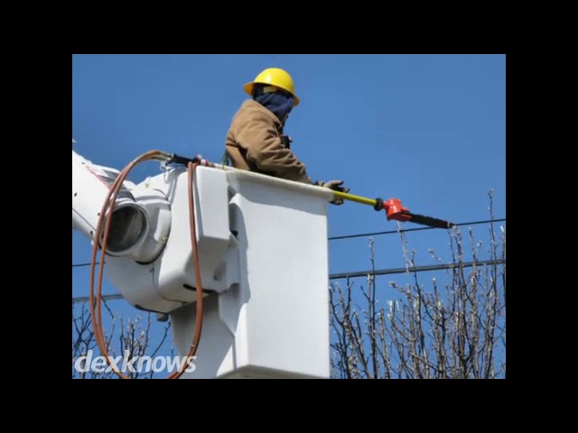 Aardvark Tree Service - Spokane, WA