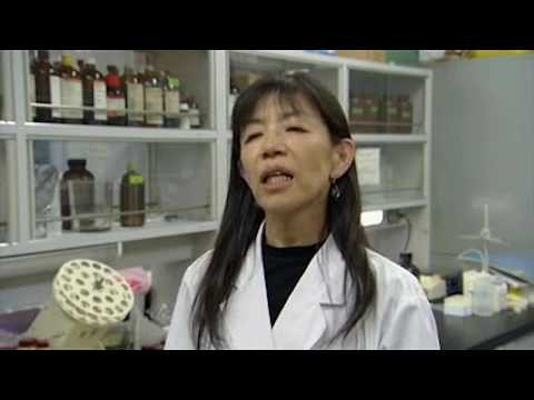 麻布大学 研究室紹介25_山本 雅子 教授