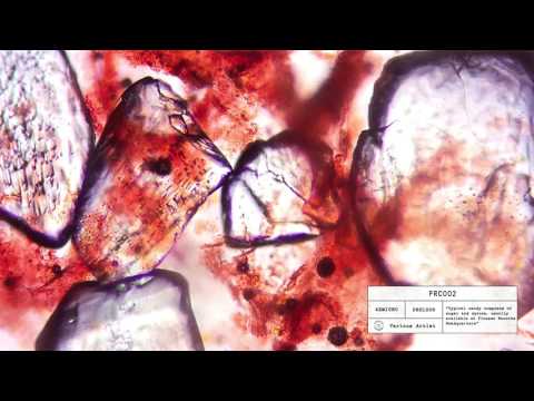 Drake Marvins Room Naked Geometry Bootleg