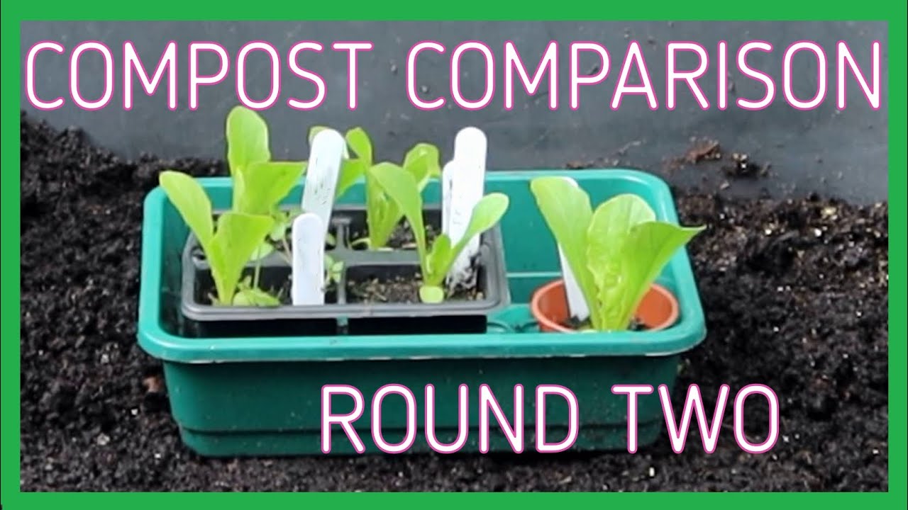 Watch video Compost Comparison - Round 2 with Four More Composts Now Compost Comparison - Round 2 with Four More Composts