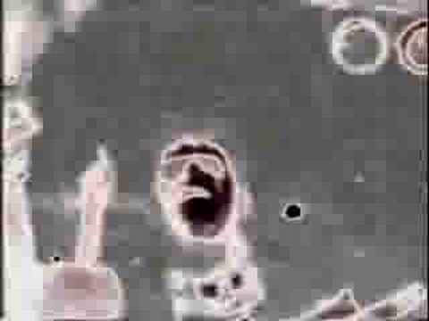 Omega13’s Video 18602817552 QRaX3hJ2MUU