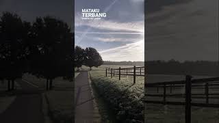 Download lagu story'wa||st12~putri iklan mp3 Download lagu story'wa||st12~putri iklan mp3