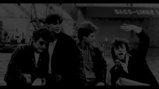 Les Dogs "Wanderin' Robin" (live)