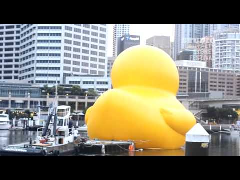 お祭りTV：ラバーダック (Festival TV: Rubber Duck)