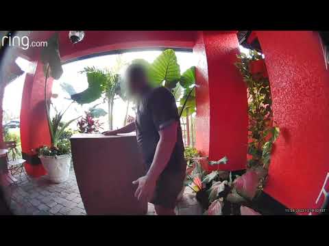 UPS Driver Uses Ring Camera to Ask For Help As Dog Hassles Him