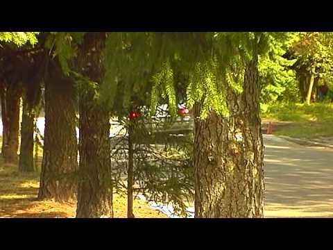 [KJS] Rally Piaseczno 2010 - SL10,11 - klasa Open