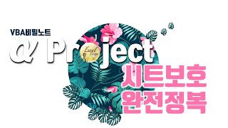 엑셀 VBA #136 / α Project_6 / 시트보호 완전정복 [VBA]