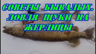 Полезные советы для ловли на жерлицы