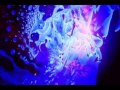DEEP LIGHT / STEG 