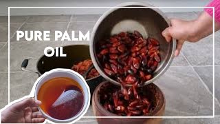 How To Make Palm Oil At home - 2 methods