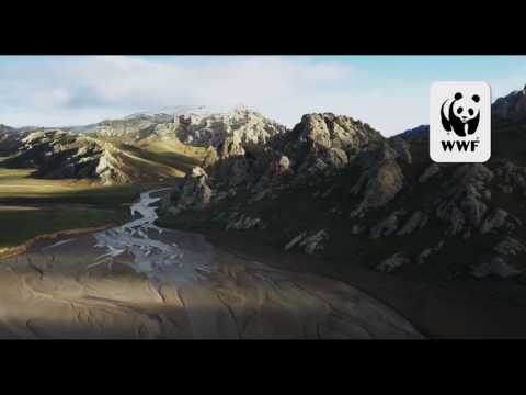 Born in China Official Earth Day Trailer 2017 Disneynature Documentary Movie HD