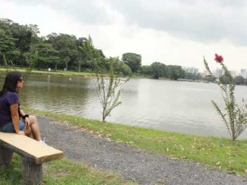 Fish kaserol para sa pagbaba ng timbang Pagbaba ng timbang sa pamamagitan ng worm