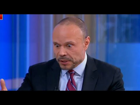 Dan Bongino MELTS DOWN in bizarre Fox News interview