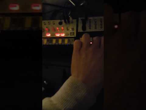 Caylus at liveact with Volca