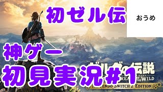【初見】おうめの ゼルダの伝説ブレスオブザワイルド ＃1【実況】