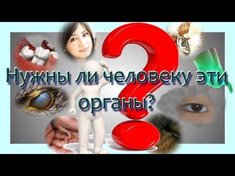 Ненужные органы человека