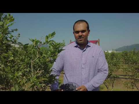 From Your Farmers: Lally Farms