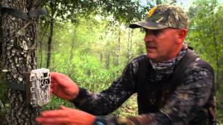 C&G  the hunt