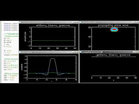 Three-component excitable media