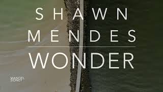 Shawn Mendes - Wonder (Lyrics/Tradução/Legendado)(HQ)