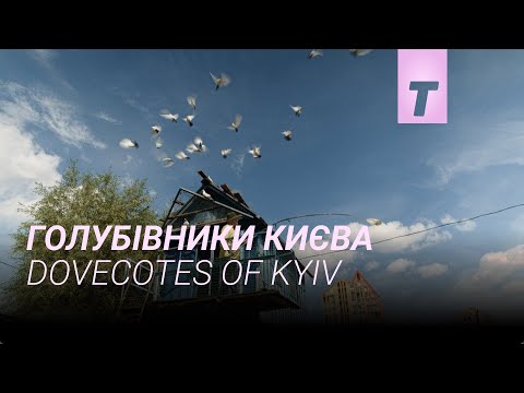 Голубівники Києва / Dovecotes of Kyiv